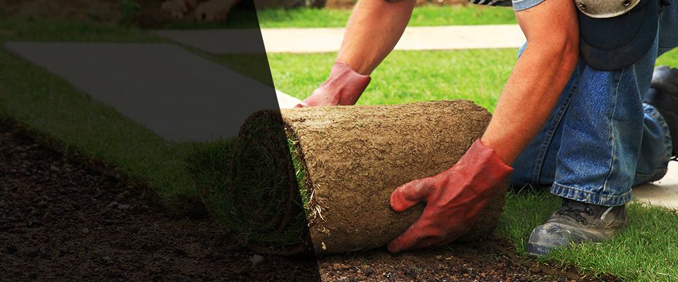 Port Republic Landscapers